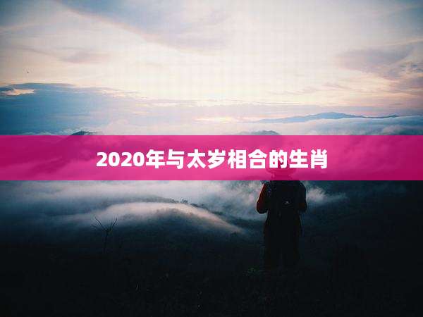 2020年与太岁相合的生肖
