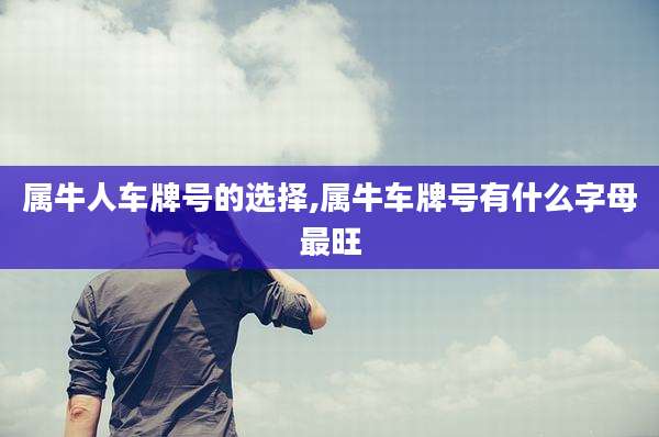 属牛人车牌号的选择,属牛车牌号有什么字母最旺