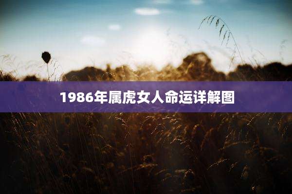 1986年属虎女人命运详解图