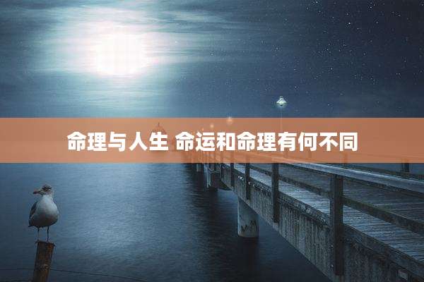 命理与人生 命运和命理有何不同
