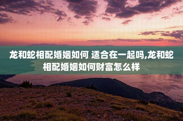 龙和蛇相配婚姻如何 适合在一起吗,龙和蛇相配婚姻如何财富怎么样