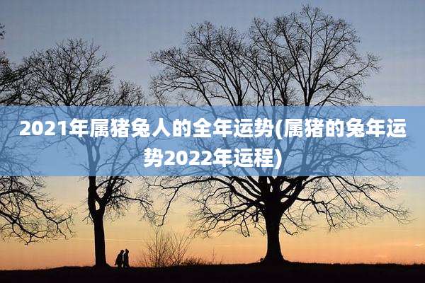 2021年属猪兔人的全年运势(属猪的兔年运势2022年运程)