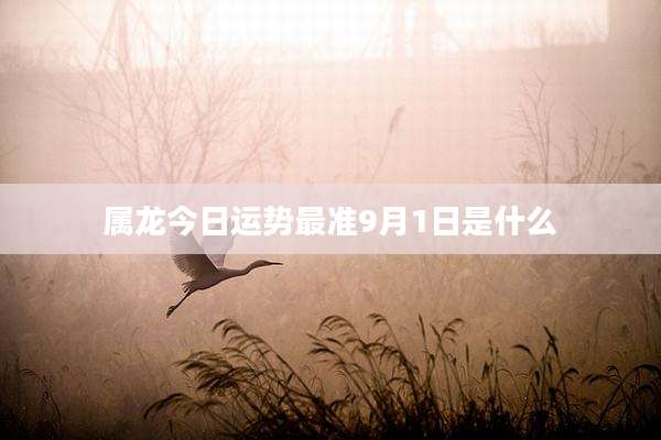 属龙今日运势最准9月1日是什么