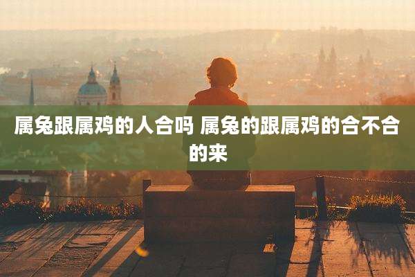 属兔跟属鸡的人合吗 属兔的跟属鸡的合不合的来