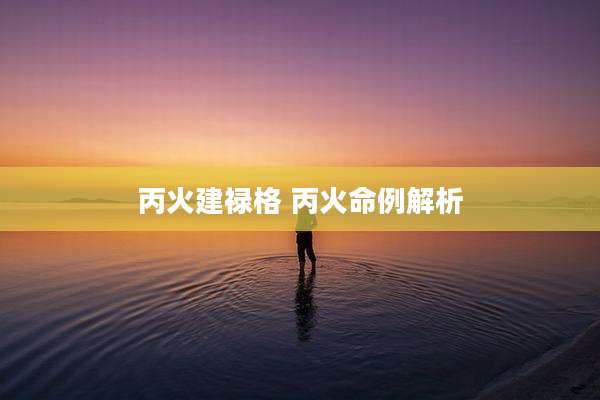 丙火建禄格 丙火命例解析