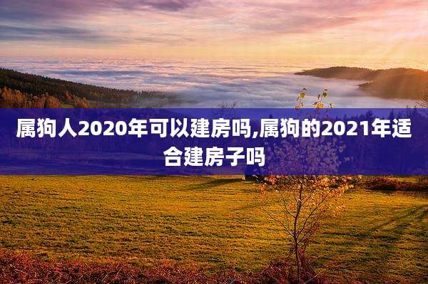 属狗人2020年可以建房吗,属狗的2021年适合建房子吗