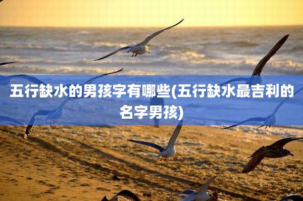 五行缺水的男孩字有哪些(五行缺水最吉利的名字男孩)
