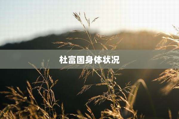 杜富国身体状况