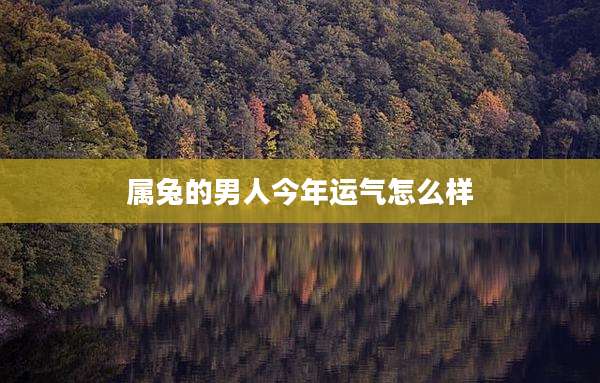 属兔的男人今年运气怎么样