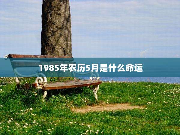 1985年农历5月是什么命运
