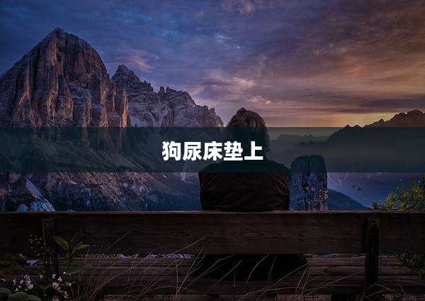 狗尿床垫上