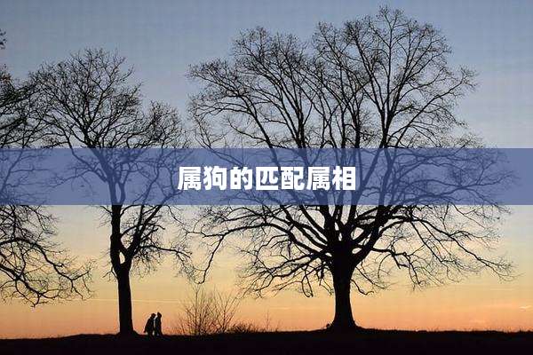 属狗的匹配属相