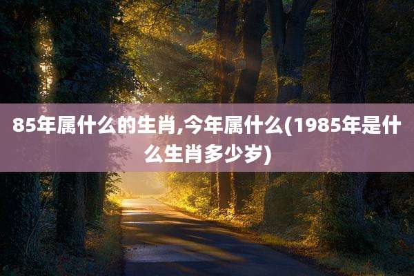 85年属什么的生肖,今年属什么(1985年是什么生肖多少岁)