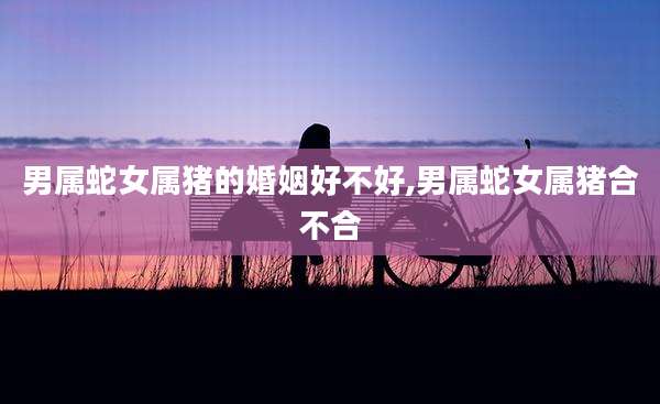 男属蛇女属猪的婚姻好不好,男属蛇女属猪合不合