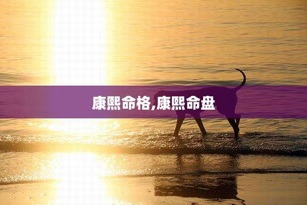康熙命格,康熙命盘