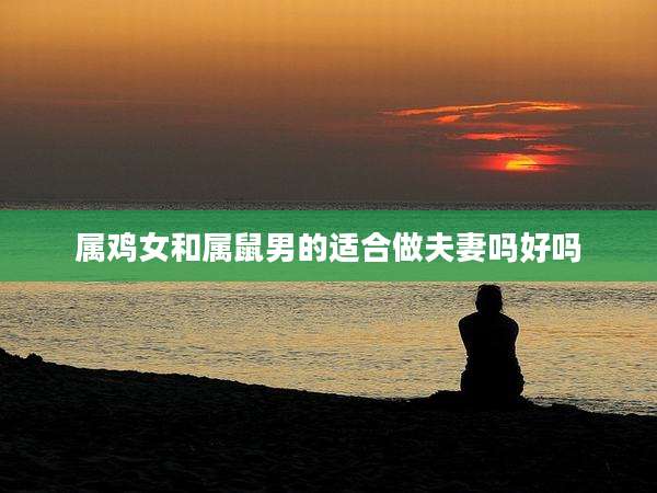 属鸡女和属鼠男的适合做夫妻吗好吗