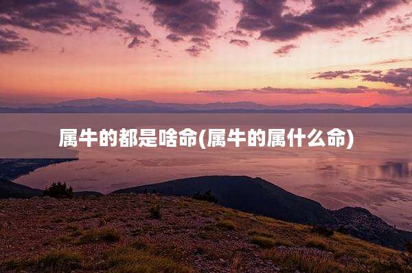 属牛的都是啥命(属牛的属什么命)