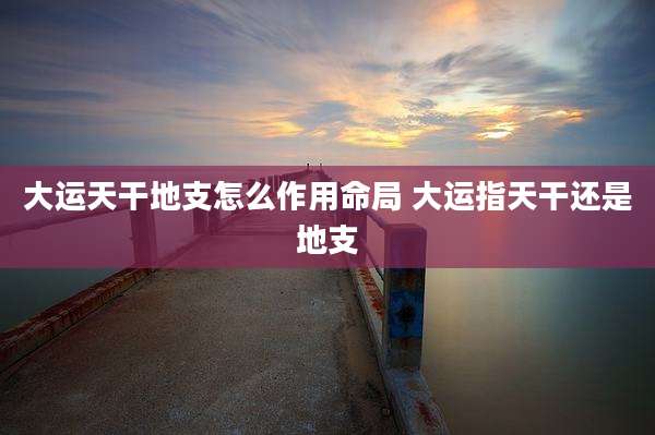 大运天干地支怎么作用命局 大运指天干还是地支