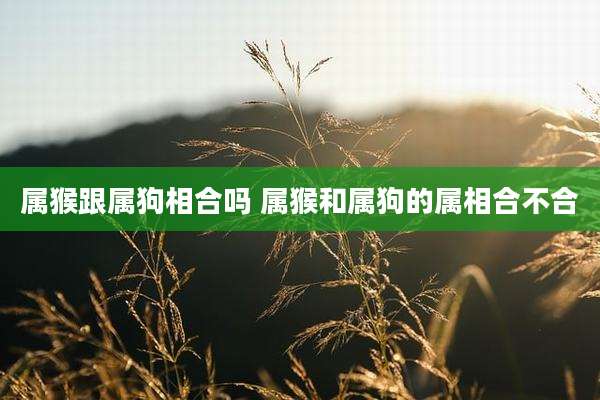 属猴跟属狗相合吗 属猴和属狗的属相合不合