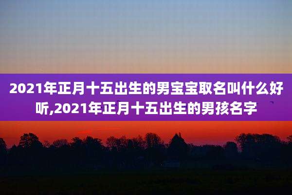 2021年正月十五出生的男宝宝取名叫什么好听,2021年正月十五出生的男孩名字