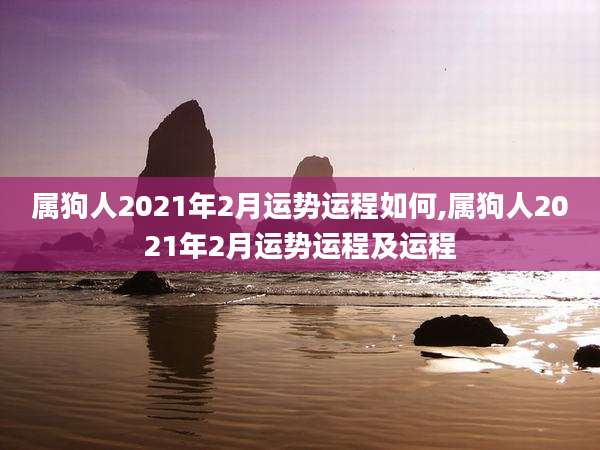 属狗人2021年2月运势运程如何,属狗人2021年2月运势运程及运程