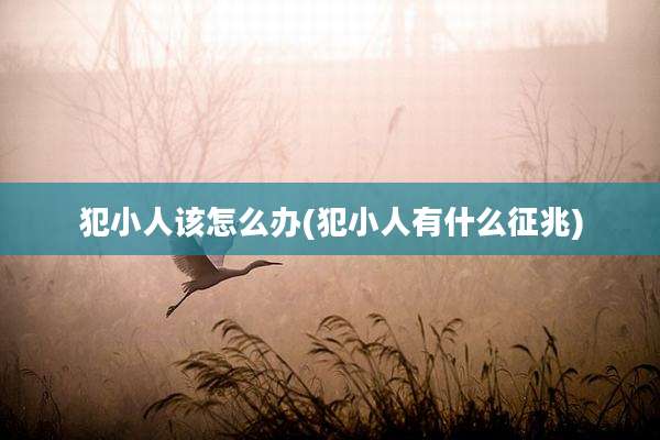 犯小人该怎么办(犯小人有什么征兆)