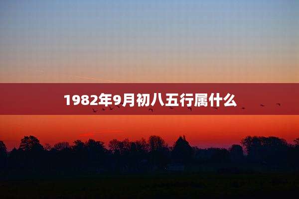 1982年9月初八五行属什么