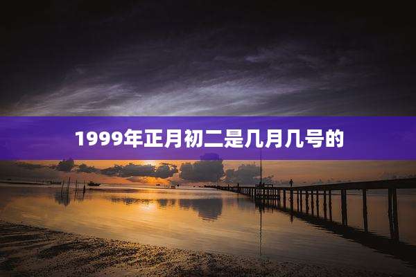 1999年正月初二是几月几号的
