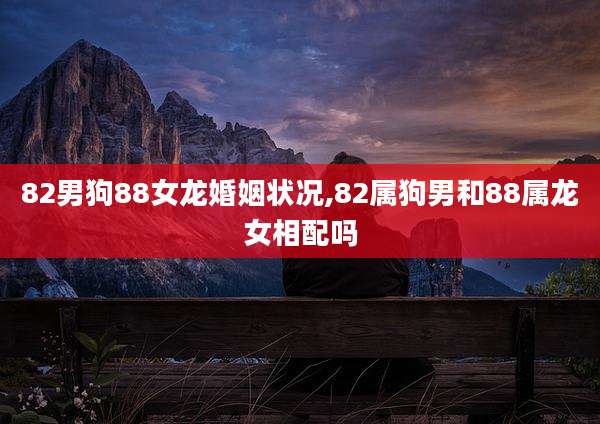 82男狗88女龙婚姻状况,82属狗男和88属龙女相配吗