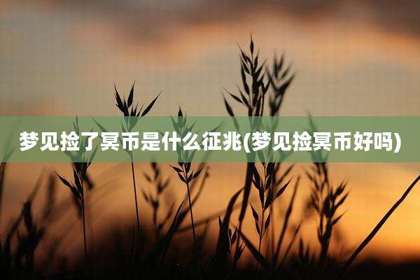 梦见捡了冥币是什么征兆(梦见捡冥币好吗)
