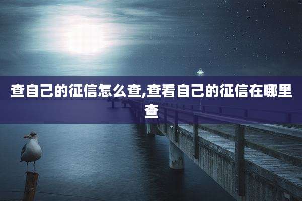 查自己的征信怎么查,查看自己的征信在哪里查
