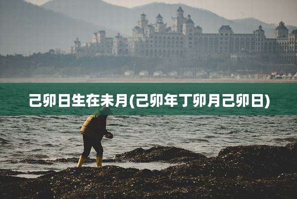 己卯日生在未月(己卯年丁卯月己卯日)