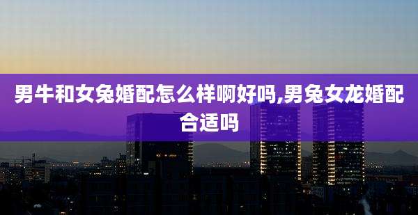 男牛和女兔婚配怎么样啊好吗,男兔女龙婚配合适吗