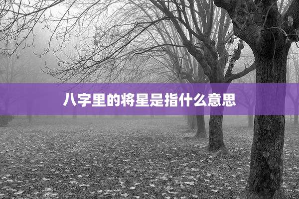八字里的将星是指什么意思