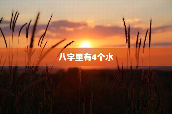 八字里有4个水