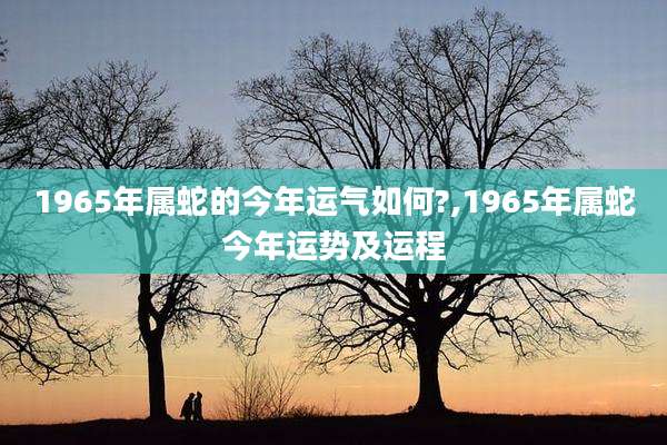 1965年属蛇的今年运气如何?,1965年属蛇今年运势及运程