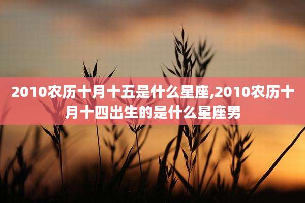 2010农历十月十五是什么星座,2010农历十月十四出生的是什么星座男