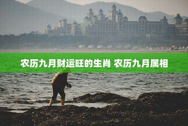 农历九月财运旺的生肖 农历九月属相