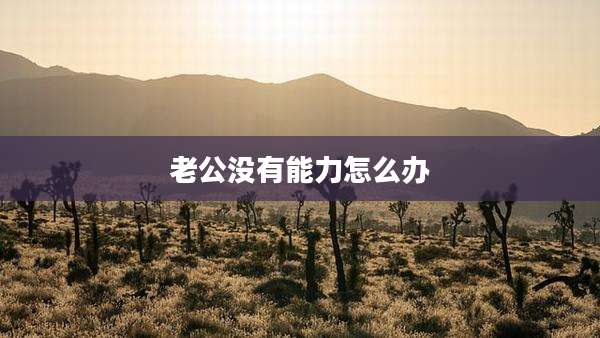 老公没有能力怎么办