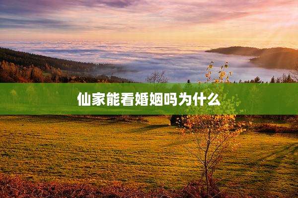 仙家能看婚姻吗为什么