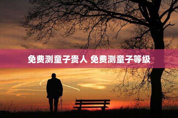 免费测童子贵人 免费测童子等级