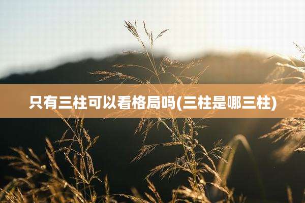 只有三柱可以看格局吗(三柱是哪三柱)