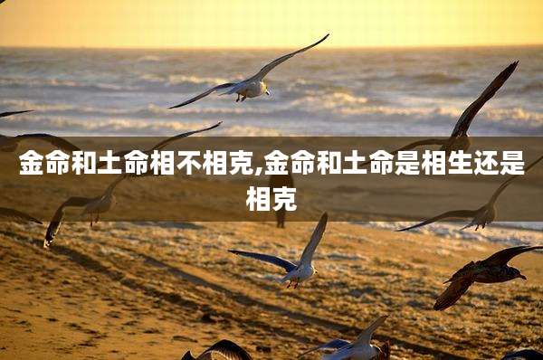 金命和土命相不相克,金命和土命是相生还是相克