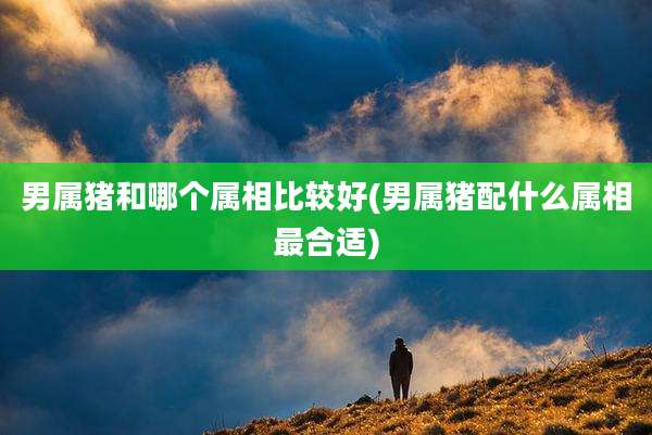 男属猪和哪个属相比较好(男属猪配什么属相最合适)