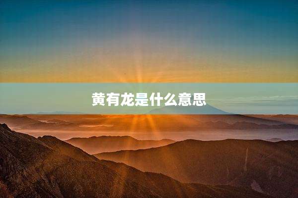 黄有龙是什么意思