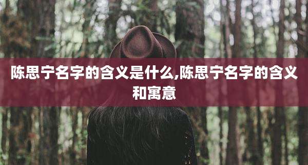 陈思宁名字的含义是什么,陈思宁名字的含义和寓意