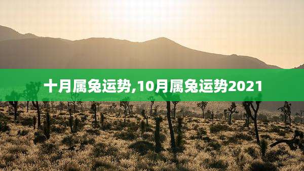十月属兔运势,10月属兔运势2021