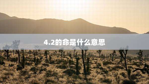 4.2的命是什么意思