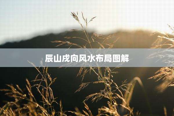 辰山戌向风水布局图解