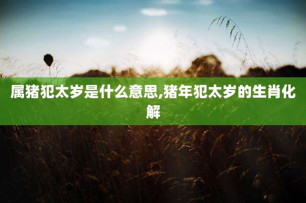属猪犯太岁是什么意思,猪年犯太岁的生肖化解